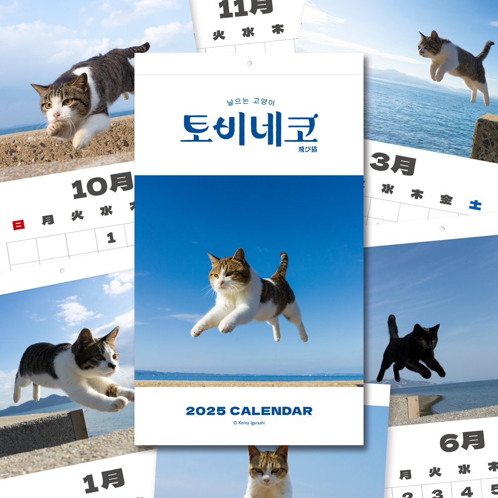 토비네코 벽걸이 달력